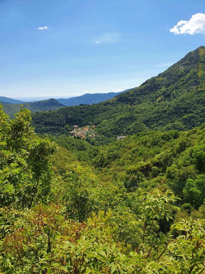 Il Bosco Di Campo Marzano Rooms & Apartments Borzonasca エクステリア 写真