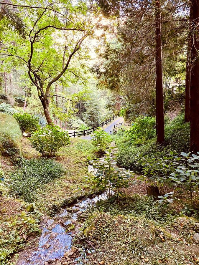 Il Bosco Di Campo Marzano Rooms & Apartments Borzonasca エクステリア 写真