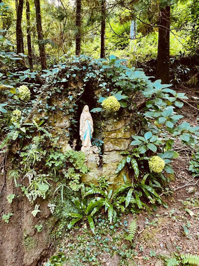 Il Bosco Di Campo Marzano Rooms & Apartments Borzonasca エクステリア 写真