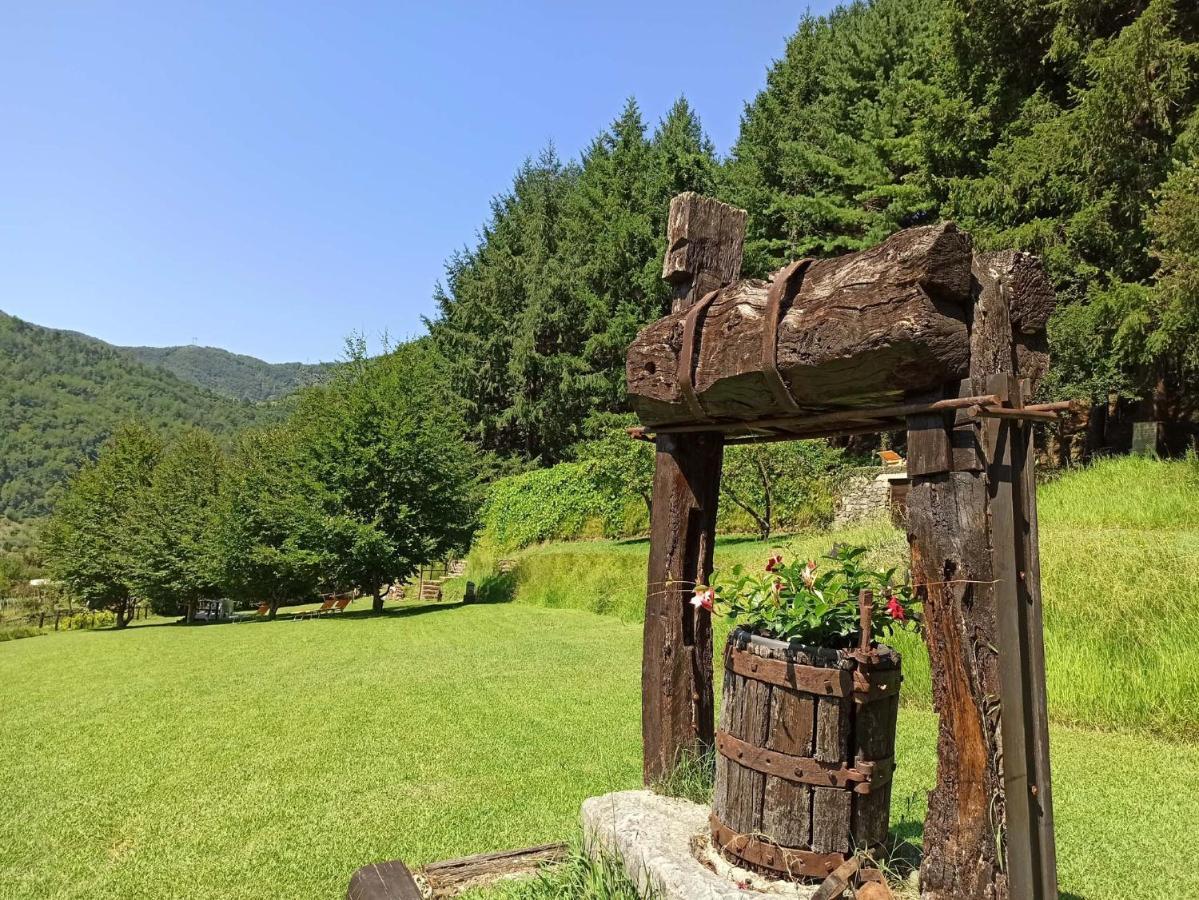 Il Bosco Di Campo Marzano Rooms & Apartments Borzonasca エクステリア 写真