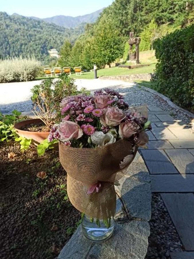 Il Bosco Di Campo Marzano Rooms & Apartments Borzonasca エクステリア 写真