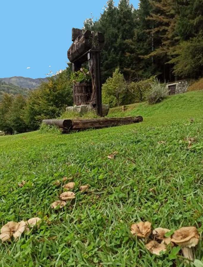 Il Bosco Di Campo Marzano Rooms & Apartments Borzonasca エクステリア 写真