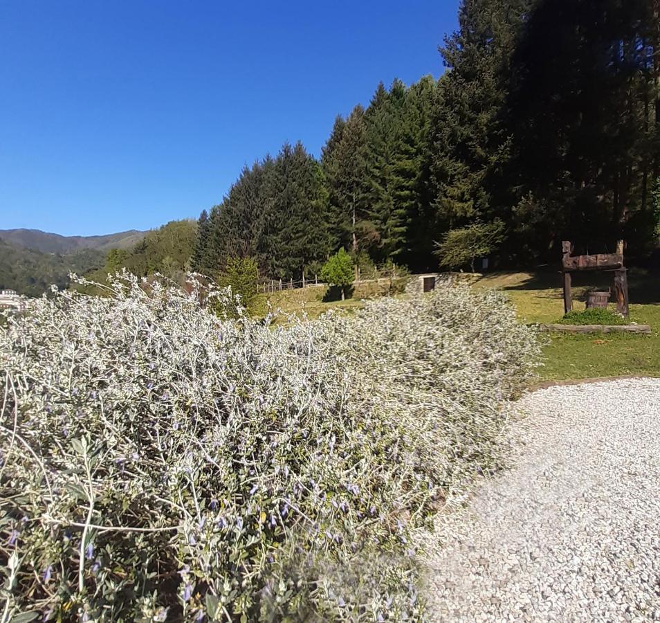 Il Bosco Di Campo Marzano Rooms & Apartments Borzonasca エクステリア 写真