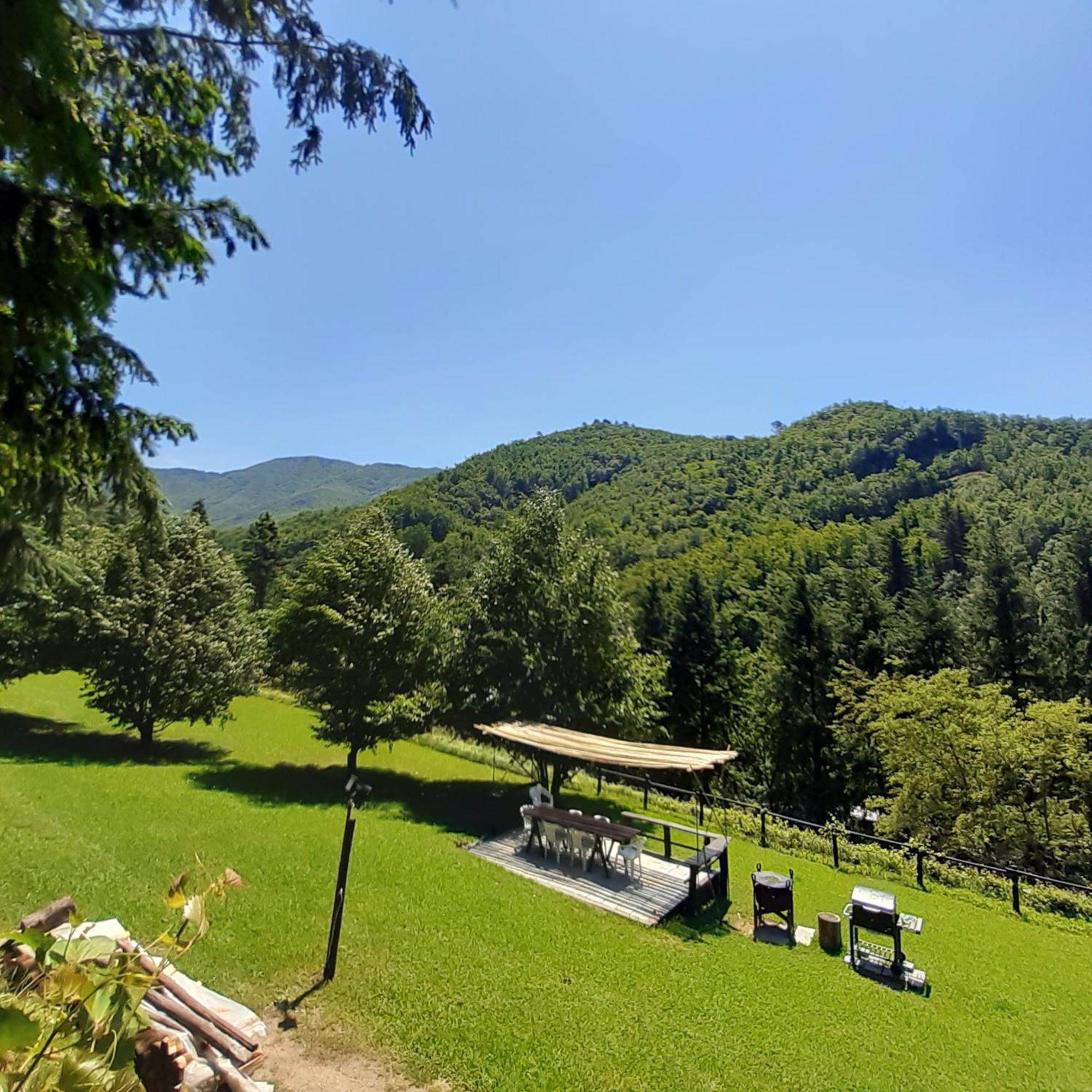Il Bosco Di Campo Marzano Rooms & Apartments Borzonasca エクステリア 写真