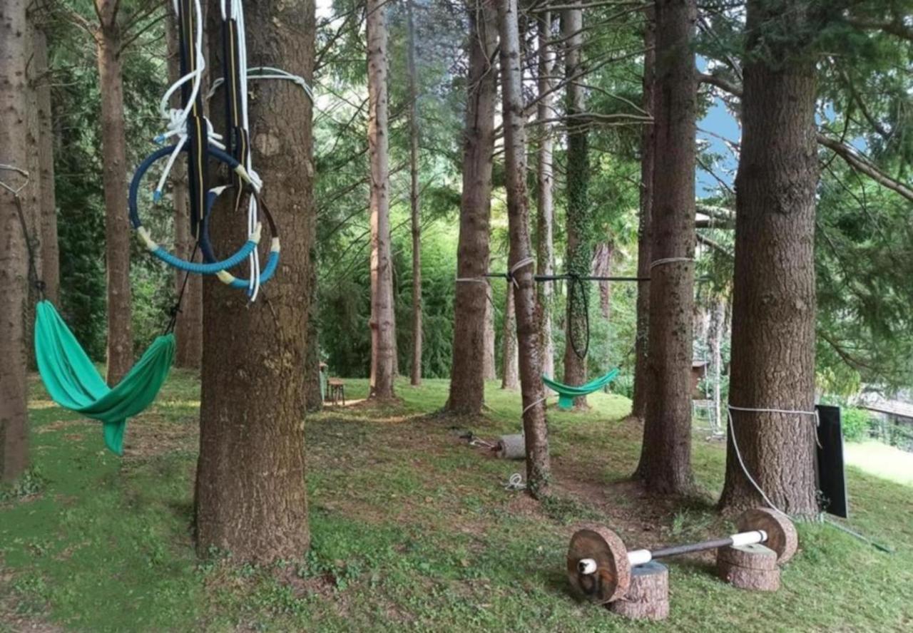 Il Bosco Di Campo Marzano Rooms & Apartments Borzonasca エクステリア 写真