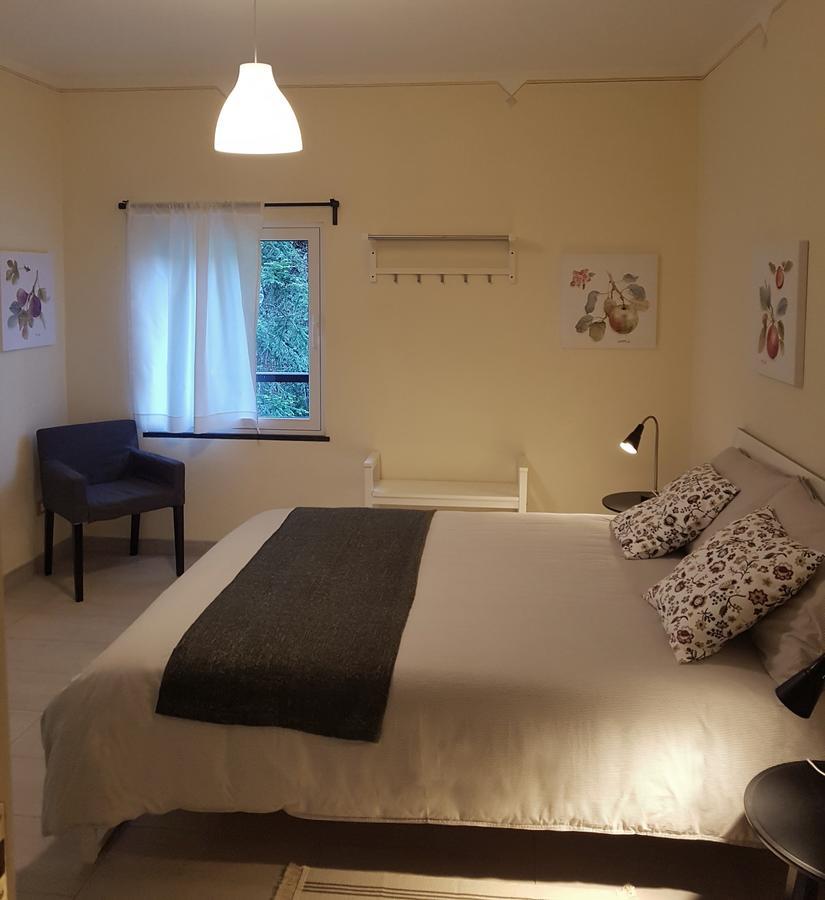 Il Bosco Di Campo Marzano Rooms & Apartments Borzonasca エクステリア 写真