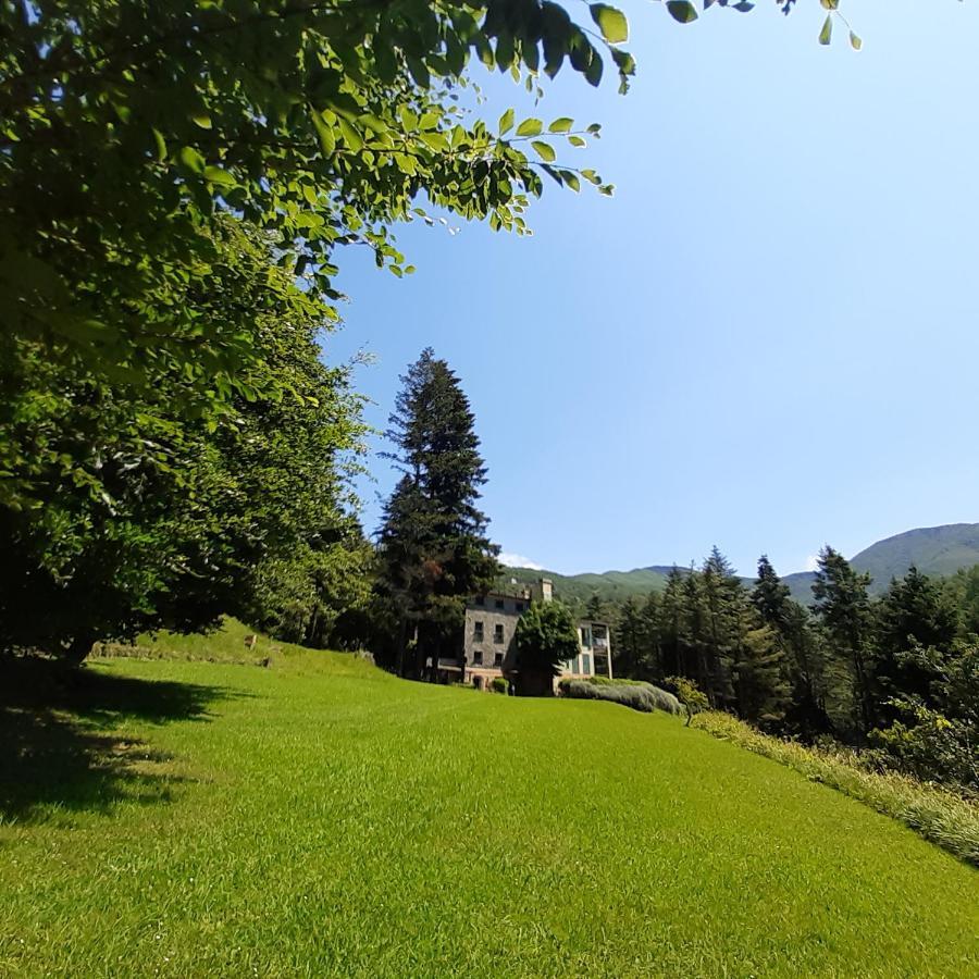 Il Bosco Di Campo Marzano Rooms & Apartments Borzonasca エクステリア 写真
